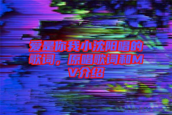 愛(ài)是你我小沈陽(yáng)唱的歌詞，原唱歌詞和MV介紹