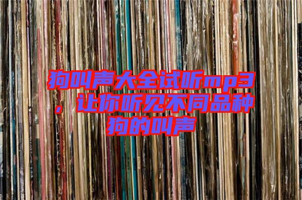 狗叫聲大全試聽mp3，讓你聽見(jiàn)不同品種狗的叫聲