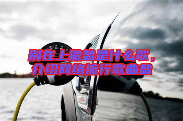 別在上撒鹽是什么歌，介紹網(wǎng)絡流行歌曲鹽