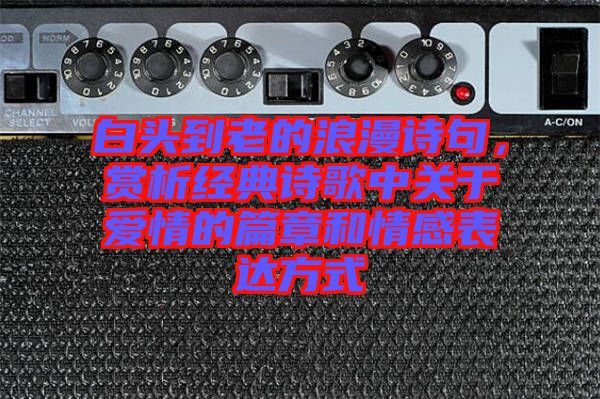 白頭到老的浪漫詩(shī)句，賞析經(jīng)典詩(shī)歌中關(guān)于愛情的篇章和情感表達(dá)方式