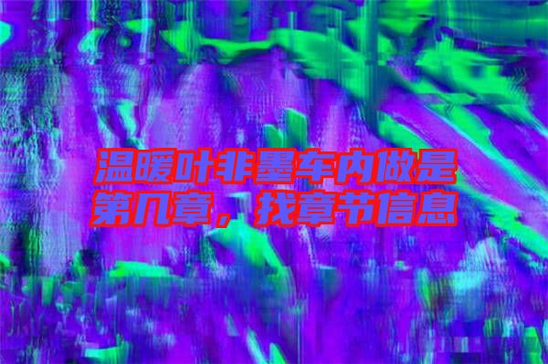 溫暖葉非墨車內做是第幾章，找章節(jié)信息