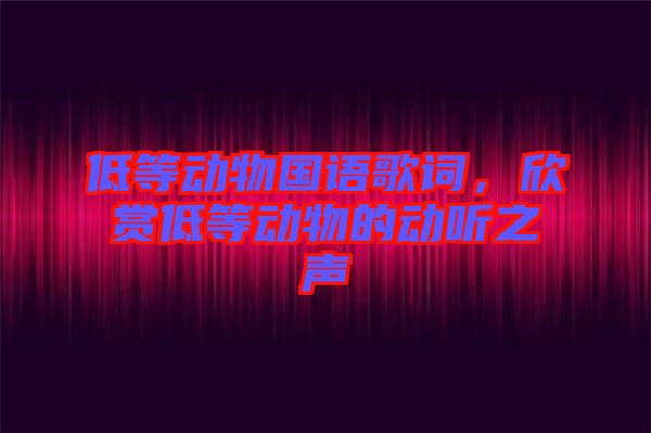 低等動(dòng)物國(guó)語歌詞，欣賞低等動(dòng)物的動(dòng)聽之聲