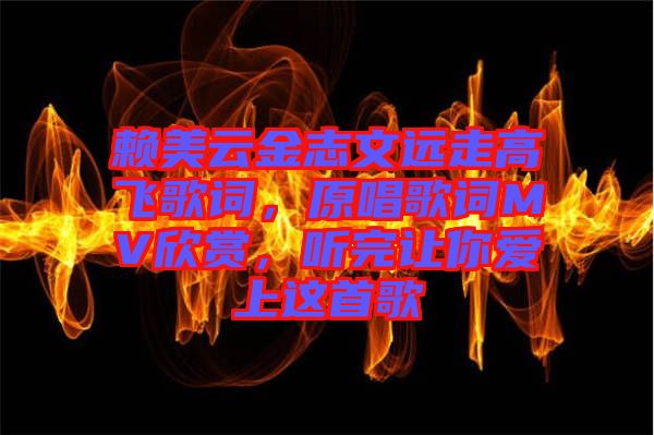 賴美云金志文遠(yuǎn)走高飛歌詞，原唱歌詞MV欣賞，聽(tīng)完讓你愛(ài)上這首歌