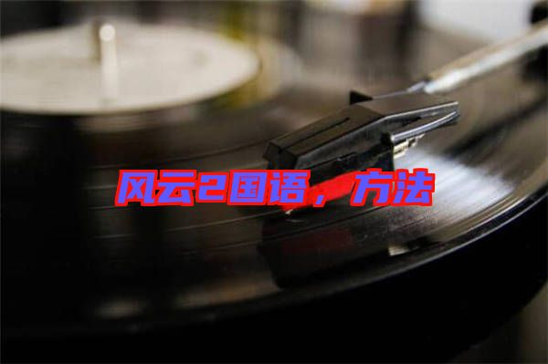 風(fēng)云2國(guó)語，方法