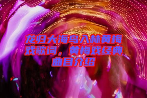 龍歸大海鳥(niǎo)入林黃梅戲歌詞，黃梅戲經(jīng)典曲目介紹