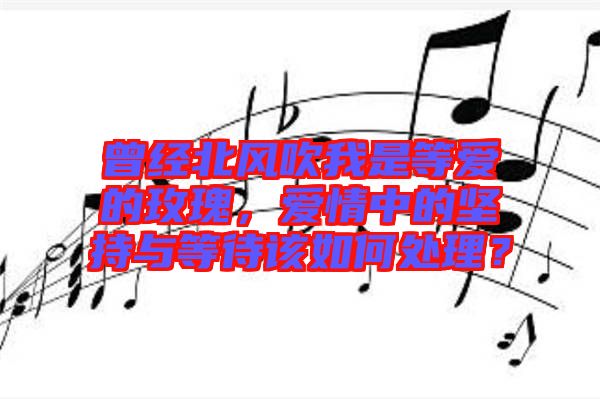 曾經(jīng)北風吹我是等愛的玫瑰，愛情中的堅持與等待該如何處理？